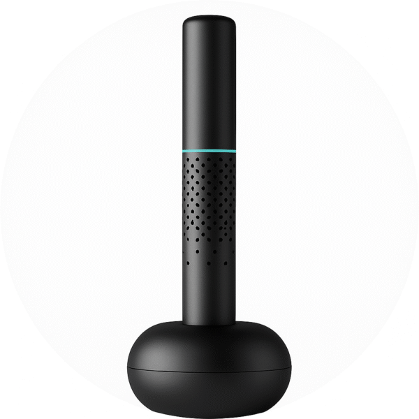 گوش پاک کن هوشمند Bebird EarSight Cleaner